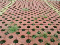 濟(jì)寧花磚廠